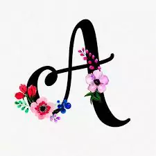 a name ke dp